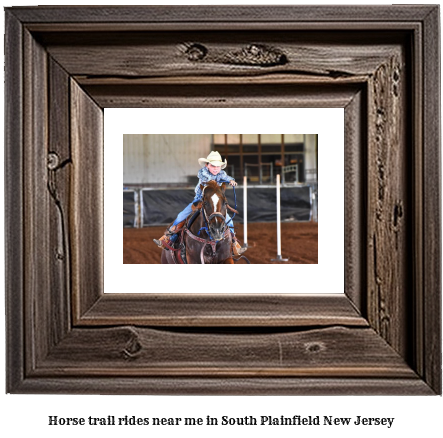 horse trail rides near me in South Plainfield, New Jersey